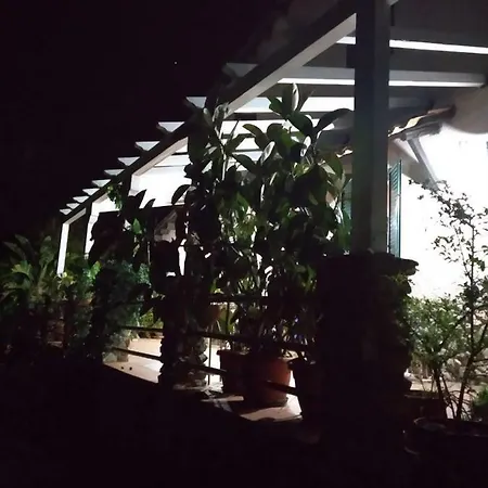 Vicinale 5 *